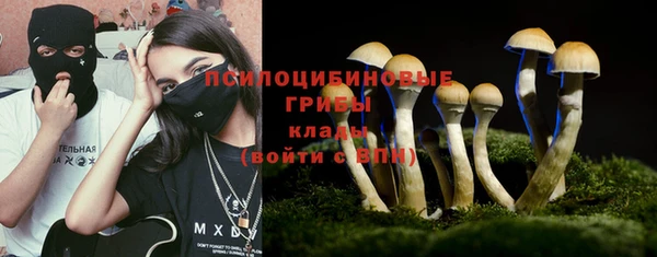гашик Медногорск
