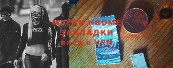гашик Медногорск