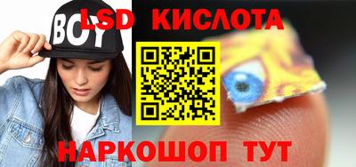 индика Камышлов