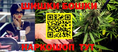 индика Камышлов