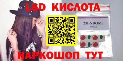 индика Камышлов