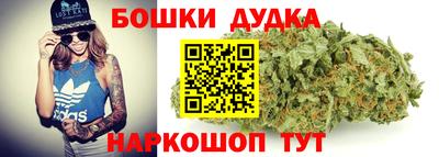 индика Камышлов
