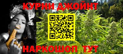 индика Камышлов