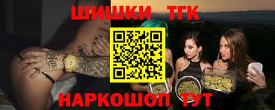 индика Камышлов