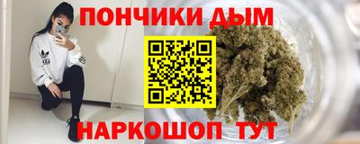 индика Камышлов