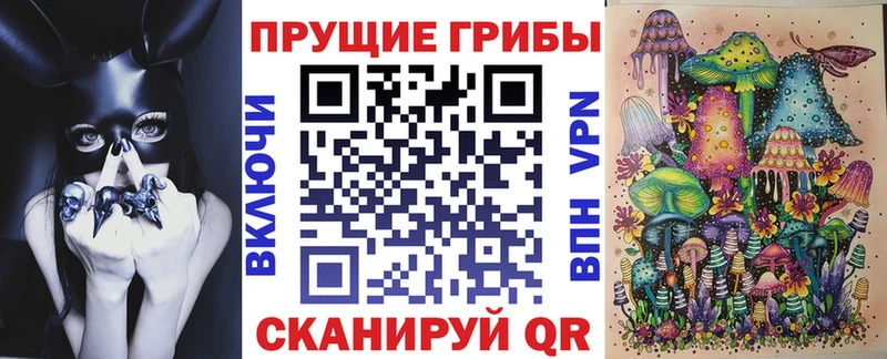 Галлюциногенные грибы Psilocybine cubensis Армавир
