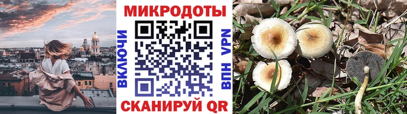 наркотики  Армавир  Псилоцибиновые грибы MAGIC MUSHROOMS 