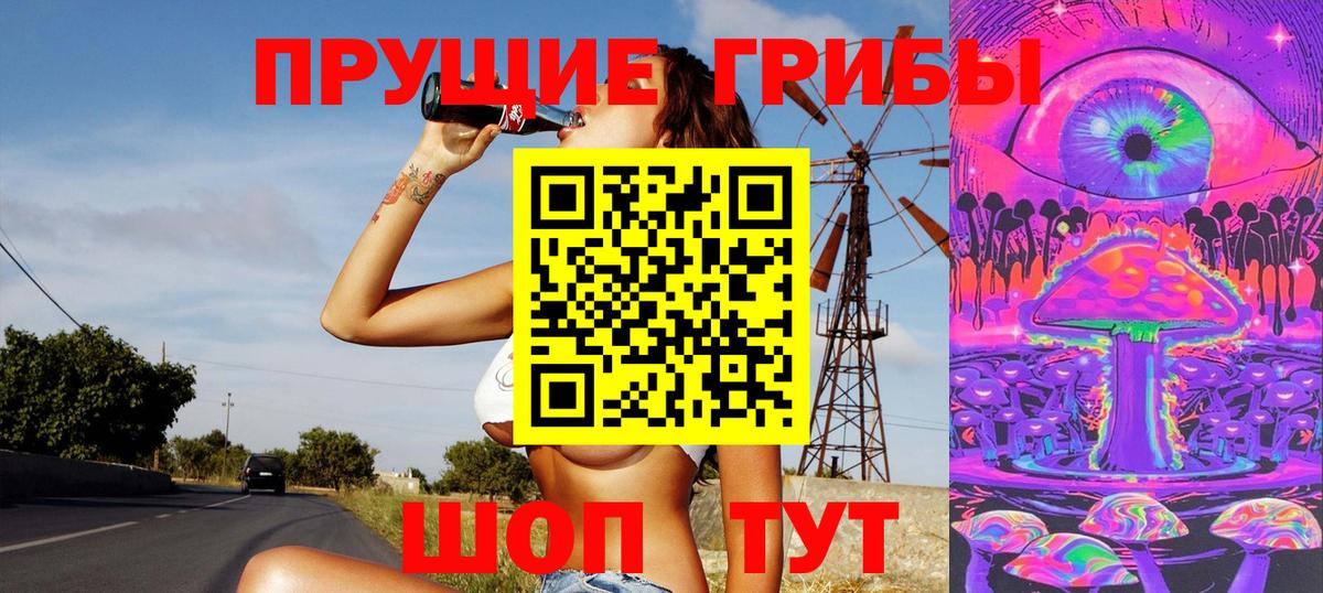 Псилоцибиновые грибы GOLDEN TEACHER  Вход с VPN  Армавир  Псилоцибиновые грибы MAGIC MUSHROOMS 